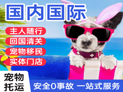 扎兰屯空运公司国际宠物托运 【国